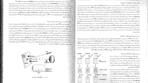 کتاب زیست شناسی سلولی،مولکولی و مهندسی ژنتیک مجید مهدوی PDF