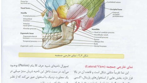 کتاب آناتومی عمومی علی والیانی PDF