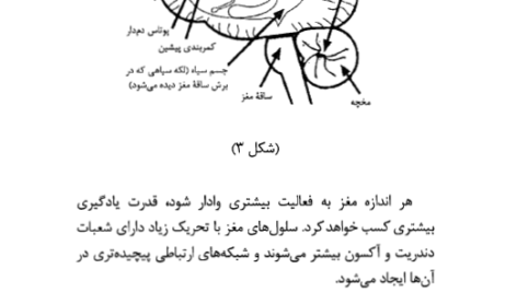 کتاب درمان اختلالات ریاضی مصطفی تبریزی PDF