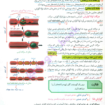 کتاب زیست شناسی جامع زیر ذره بین PDF