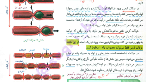 کتاب زیست شناسی جامع زیر ذره بین PDF