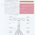 کتاب آناتومی عمومی علی والیانی PDF