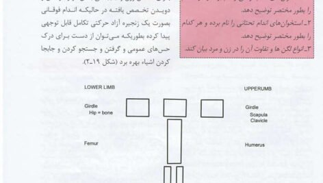 کتاب آناتومی عمومی علی والیانی PDF