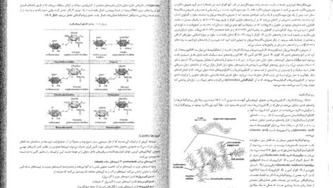 کتاب زیست شناسی سلولی،مولکولی و مهندسی ژنتیک مجید مهدوی PDF