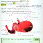 کتاب زیست شناسی جامع زیر ذره بین PDF