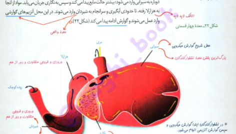 کتاب زیست شناسی جامع زیر ذره بین PDF