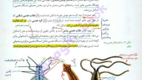 کتاب زیست شناسی جامع زیر ذره بین PDF