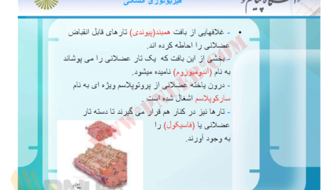 جزوه فیزیولوژی انسانی دکترمحمد رضا اسد PDF