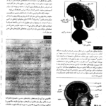 کتاب زمینه روانشناسی هیلگارد دکتر محمد نقی براهنی PDF