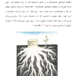 کتاب روانشناسی تکاملی دیوید باس جلد اول PDF