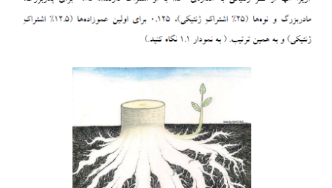 کتاب روانشناسی تکاملی دیوید باس جلد اول PDF