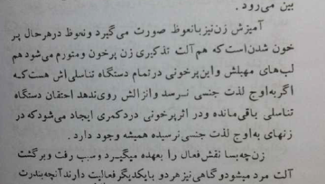 کتاب ازدواج مکتب انسان سازی جلد دوم شهید سید رضا پاک نژاد PDF
