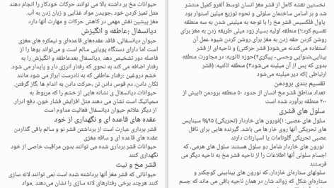 کتاب نوروسایکولوژی انسان برایان کولب PDF