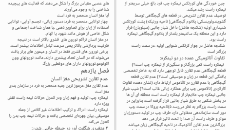 کتاب نوروسایکولوژی انسان برایان کولب PDF