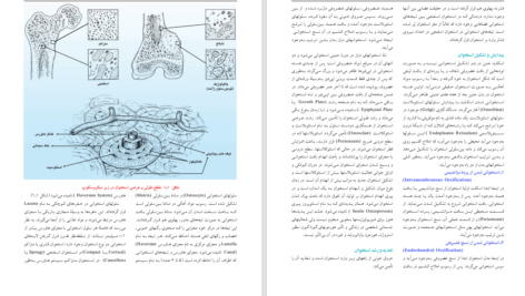 کتاب درسنامه ارتوپدی و شکستگی بهادر اعلمی هرندی PDF