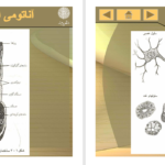 کتاب آناتومی انسانی علی اصغر رواسی PDF