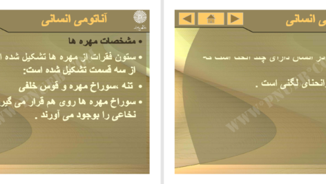 کتاب آناتومی انسانی علی اصغر رواسی PDF