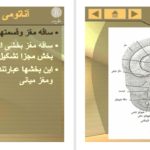 کتاب آناتومی انسانی علی اصغر رواسی PDF