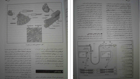 کتاب فیزیولوژی پزشکی دکتر مجید خزاعی PDF