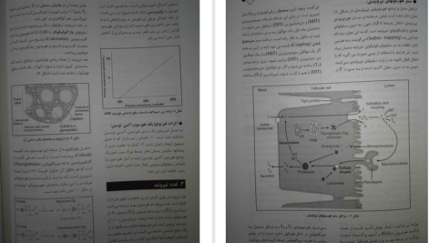 کتاب فیزیولوژی پزشکی دکتر مجید خزاعی PDF