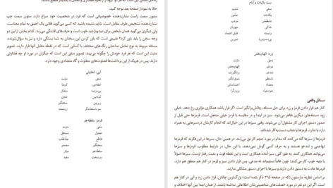 کتاب در محاصره احمق ها توماس اریکسون PDF