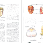 کتاب آناتومی گری سر و گردن جلد سوم دکتر محمد اکبری PDF