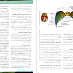 کتاب آناتومی گری سر و گردن جلد سوم دکتر محمد اکبری PDF