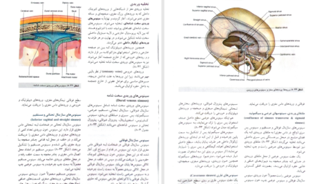کتاب آناتومی گری سر و گردن جلد سوم دکتر محمد اکبری PDF