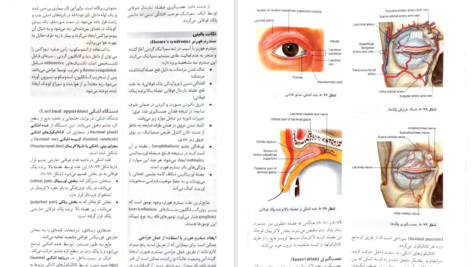 کتاب آناتومی گری سر و گردن جلد سوم دکتر محمد اکبری PDF