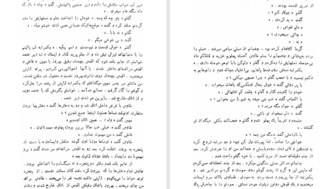 کتاب طوطی زکریا هاشمی PDF