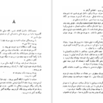 کتاب طوطی زکریا هاشمی PDF