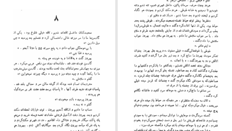 کتاب طوطی زکریا هاشمی PDF