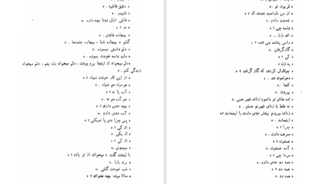 کتاب طوطی زکریا هاشمی PDF