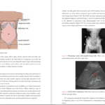 کتاب PDF General surgery and surgical specialties peter f lawrence