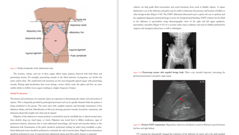کتاب PDF General surgery and surgical specialties peter f lawrence