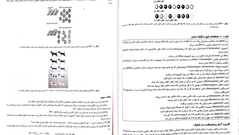 کتاب ژنتیک از کلاسیک تا ژنومیک دکتر اکرمی PDF