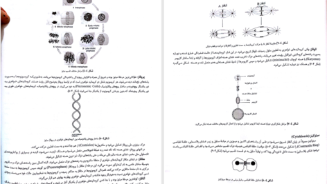 کتاب ژنتیک از کلاسیک تا ژنومیک دکتر اکرمی PDF