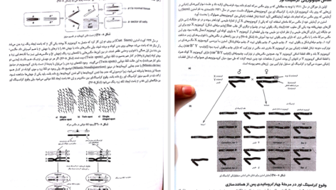 کتاب ژنتیک از کلاسیک تا ژنومیک دکتر اکرمی PDF