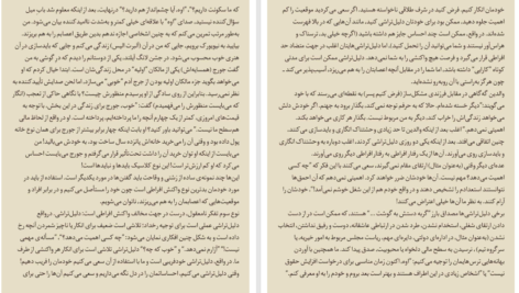 کتاب نمیگذارم کسی اعصابم را بهم بریزد شمس الدین حسینی PDF