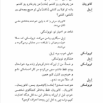 کتاب مرد بالشی مارتین مک دونا PDF