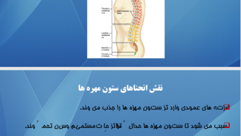 کتاب اناتومی استخوان شناسی مرتضی بهرامی نژاد PDF