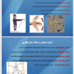 کتاب اناتومی استخوان شناسی مرتضی بهرامی نژاد PDF