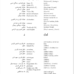 کتاب فرهنگ لغت آلمانی به فارسی جلد 2 فیروز ابراهیم نسبت PDF