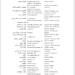 کتاب فرهنگ لغت آلمانی به فارسی جلد 2 فیروز ابراهیم نسبت PDF