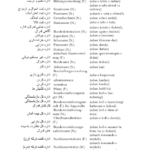کتاب فرهنگ لغت آلمانی به فارسی جلد 2 فیروز ابراهیم نسبت PDF