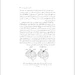 کتاب مغز پویا دیوید ایگلمن PDF