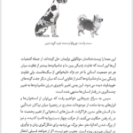 کتاب شامپانزه سوم جرد دایموند PDF