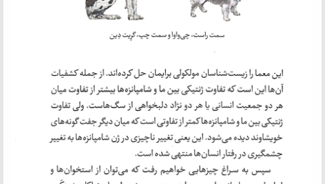 کتاب شامپانزه سوم جرد دایموند PDF