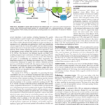 کتاب اصول طب داخلی هاریسون جیمسون ‍PDF