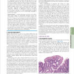 کتاب اصول طب داخلی هاریسون جیمسون ‍PDF